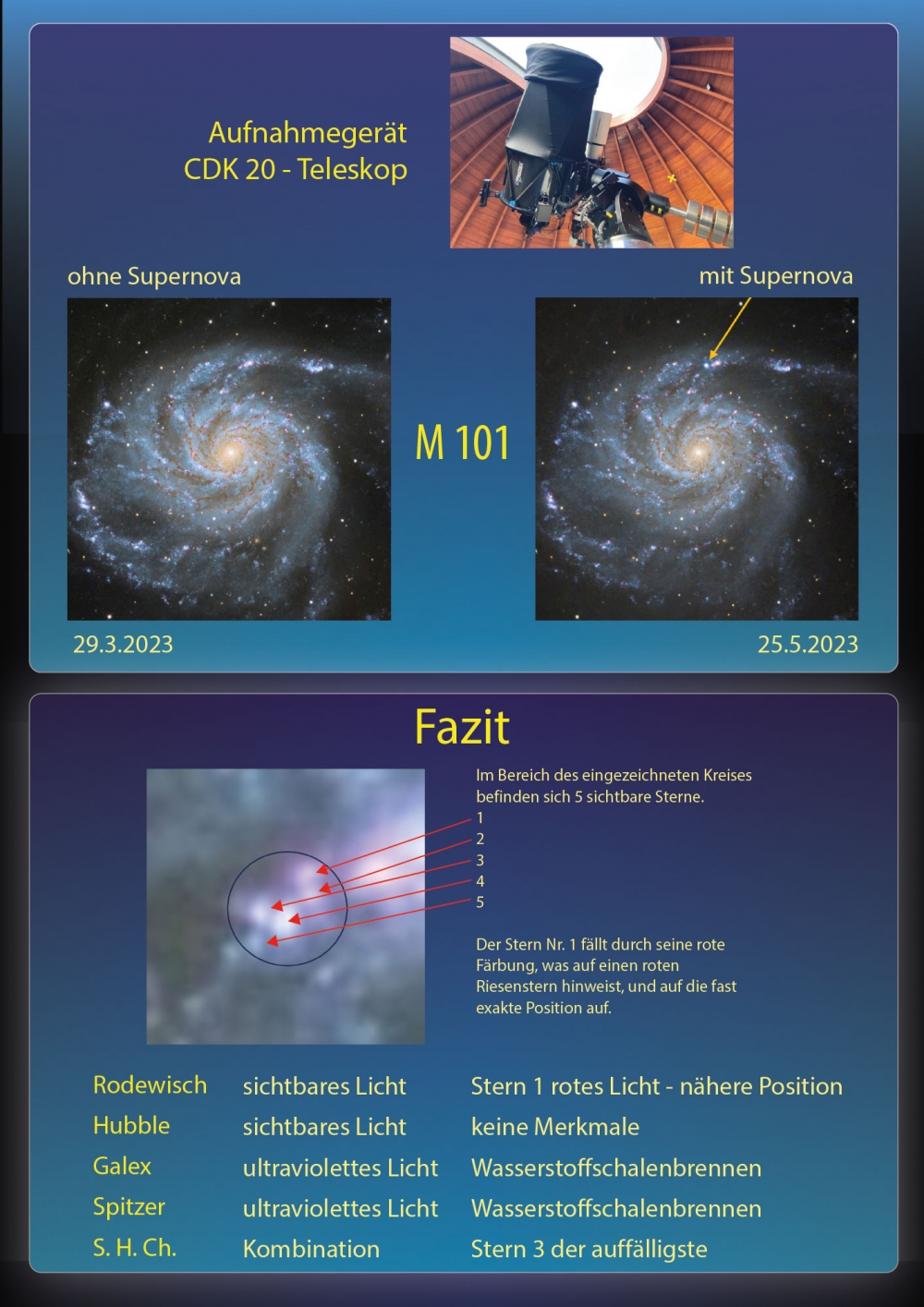 JuFo2024 Marleen Plakat3