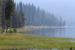 15. Lake Elk 